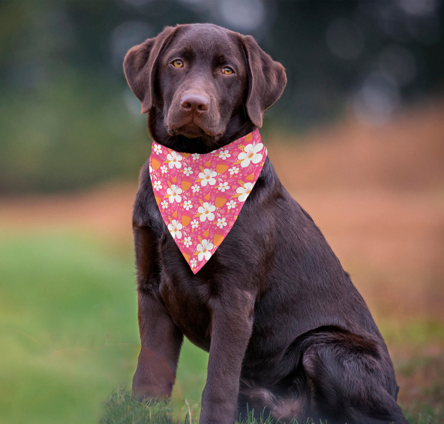 Pink Fiesta Pet bandana