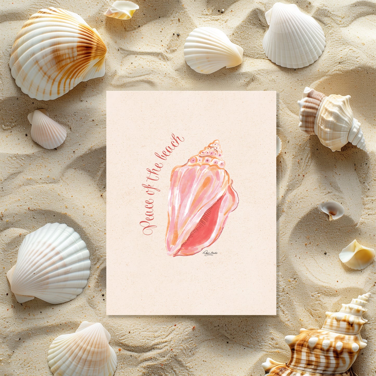 Shell Me Boxed Card Set