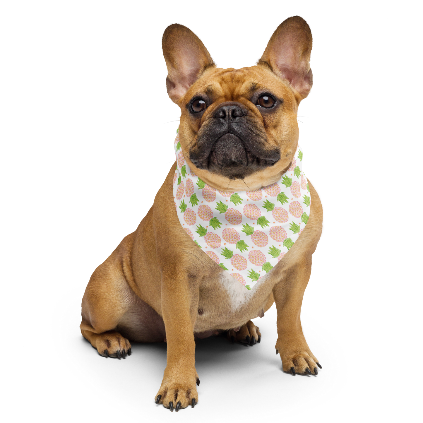 Pink Pineapple Pet Bandana