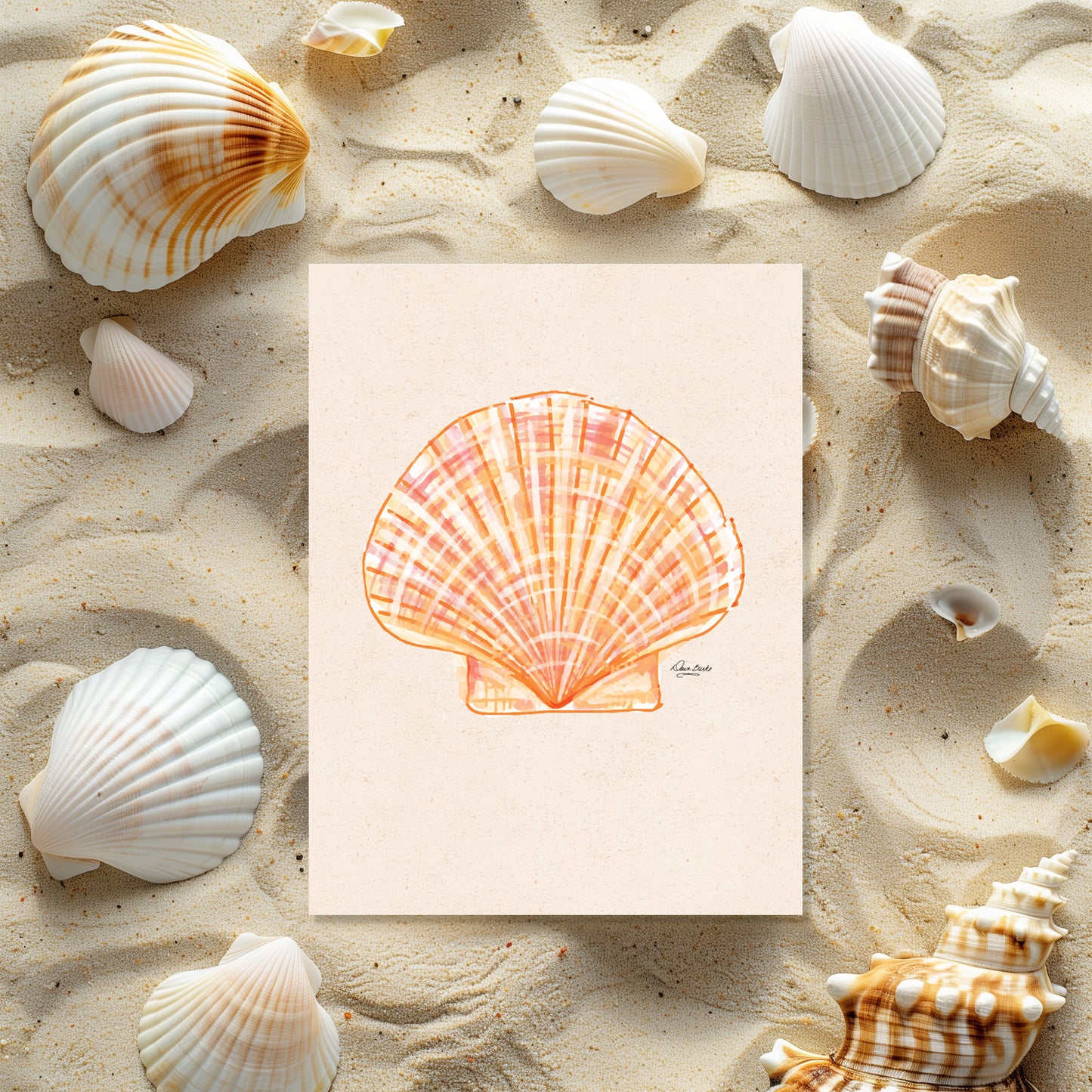 Shell Me Boxed Card Set