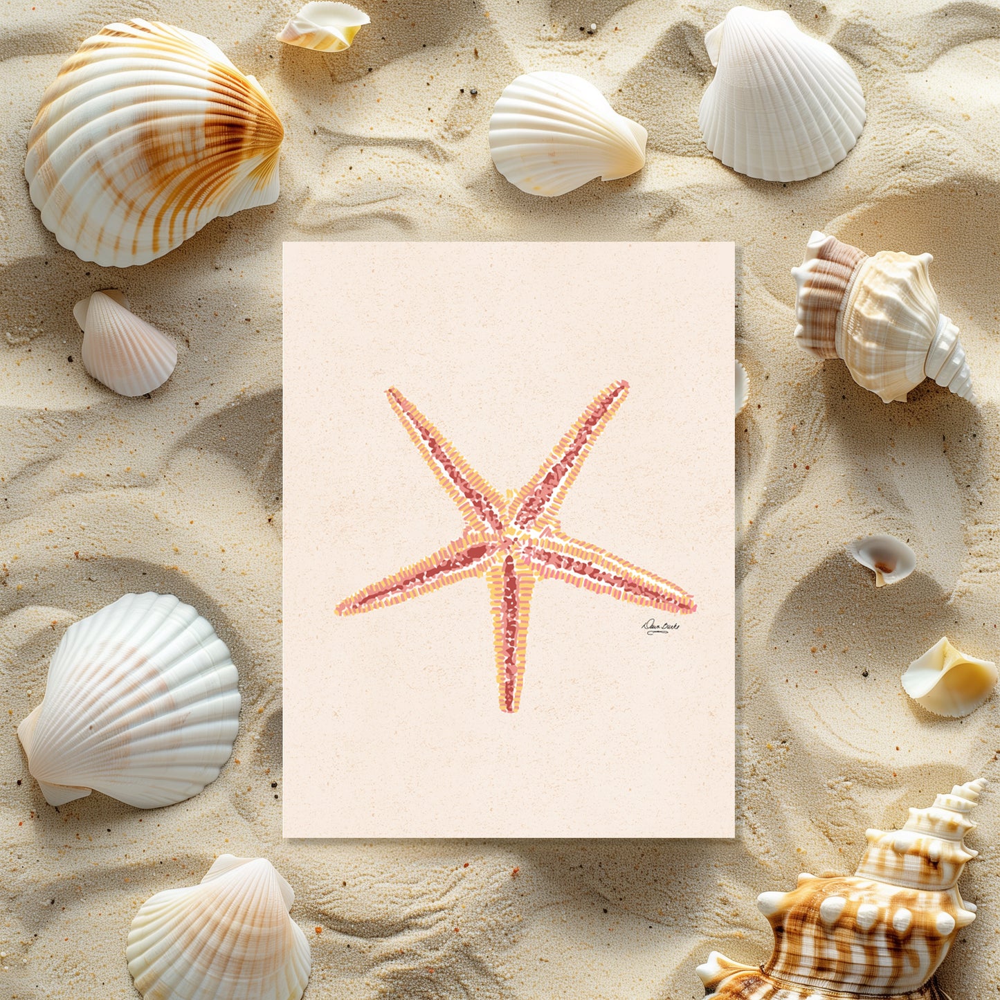 Shell Me Boxed Card Set