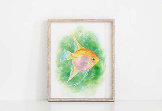 Watercolor Angelfish Art Print